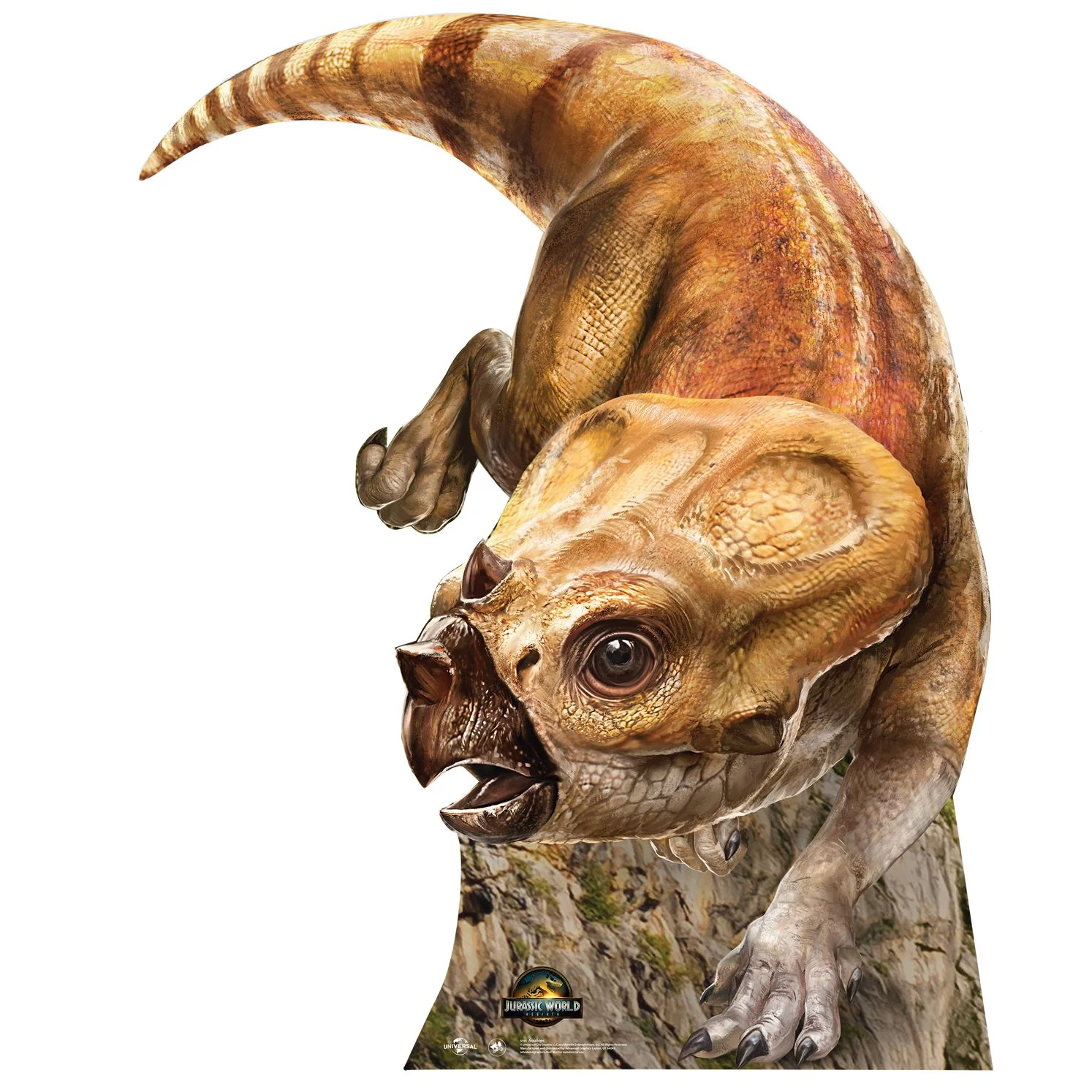 Thumbnail 1